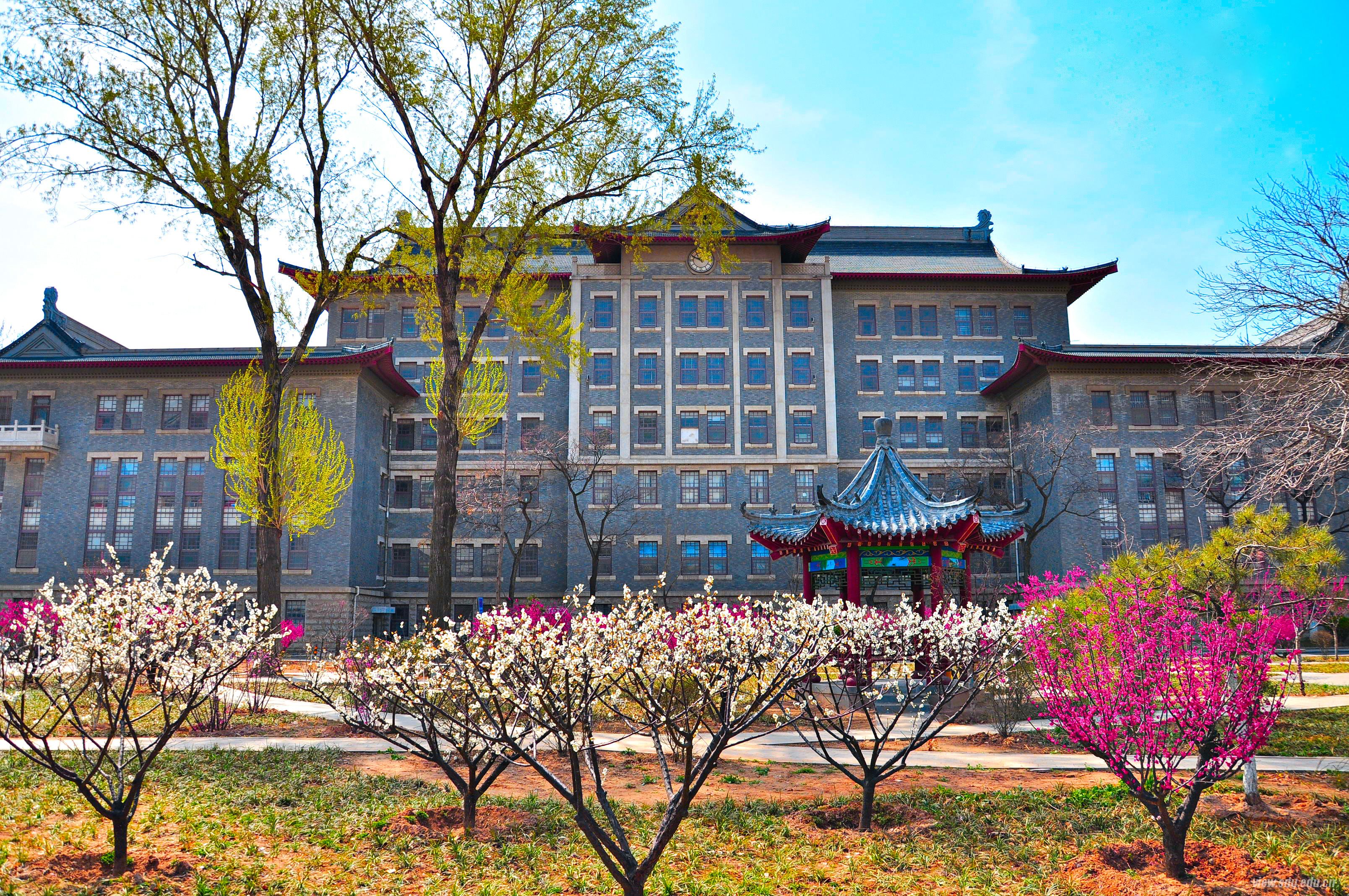 山东大学 校徽 标志 LOGO设计图__公共标识标志_标志图标_设计图库_昵图网nipic.com